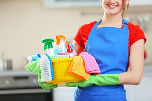 Professional carpet cleaning quote for a Hampstead period property