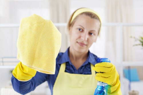 Professional oven cleaning service in a Hampstead kitchen