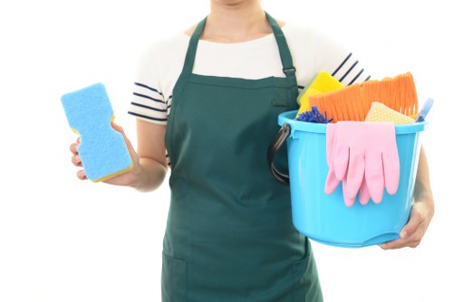 Professional pet stain odour removal treatment for Hampstead carpets