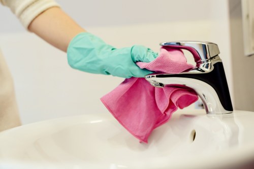 Gutter cleaning service for a Hampstead home with mature trees nearby