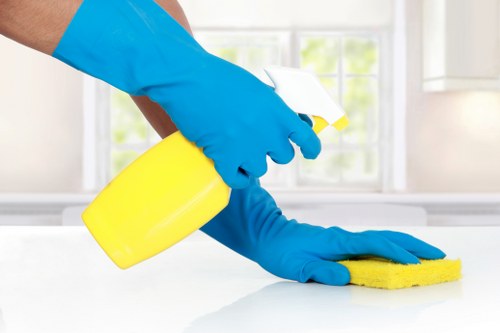 Deep cleaning service for stubborn pet smells in Hampstead properties