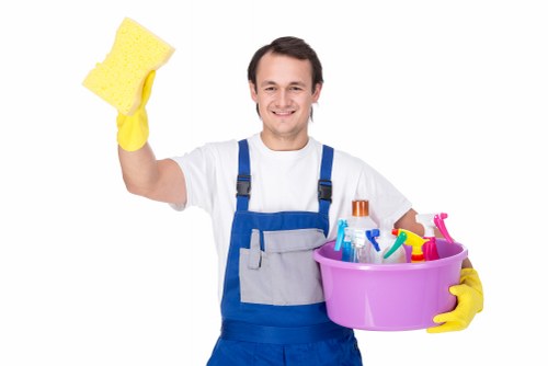 Professional one-time domestic cleaning in Hampstead
