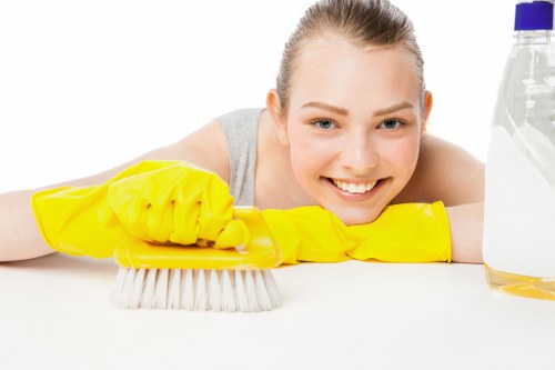 Cleaner maintaining a reception area in Hampstead