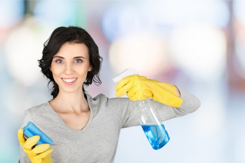 Local Hampstead technician treating pet odour contamination in a living room