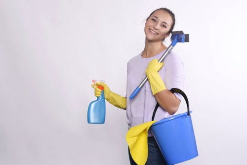 Restoring carpet freshness and protecting fibers with Hampstead cleaning services