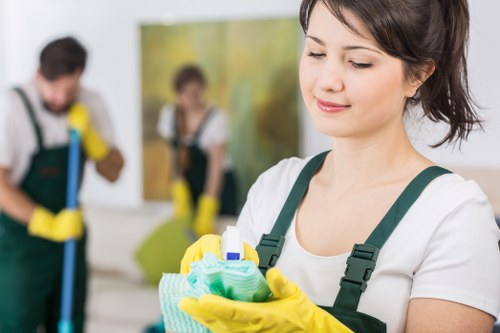 Bathroom cleaning after a tenancy in Hampstead