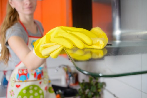 Stain cleaning service for homes and businesses near Hampstead