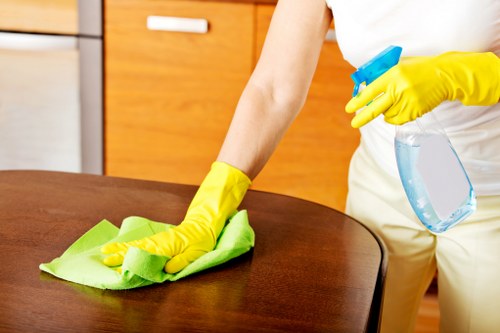 Local cleaners preparing a Hampstead property for checkout